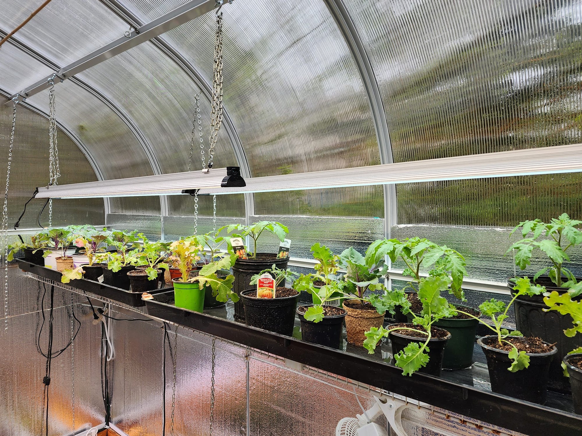 Should you invest in a greenhouse?