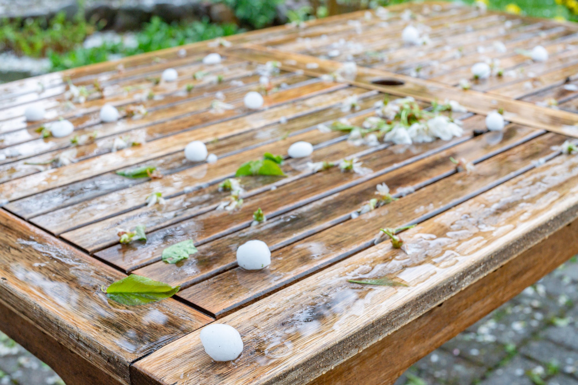 Reviving Your Garden After Hail