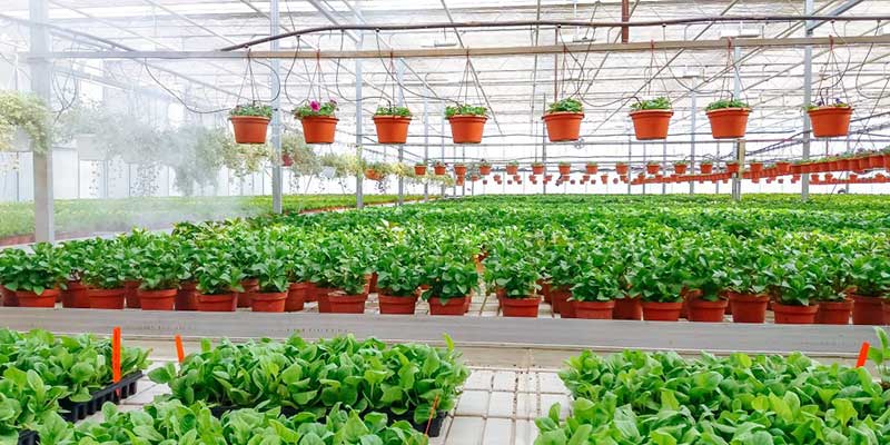 Merchandising Grow Lighting Effectively