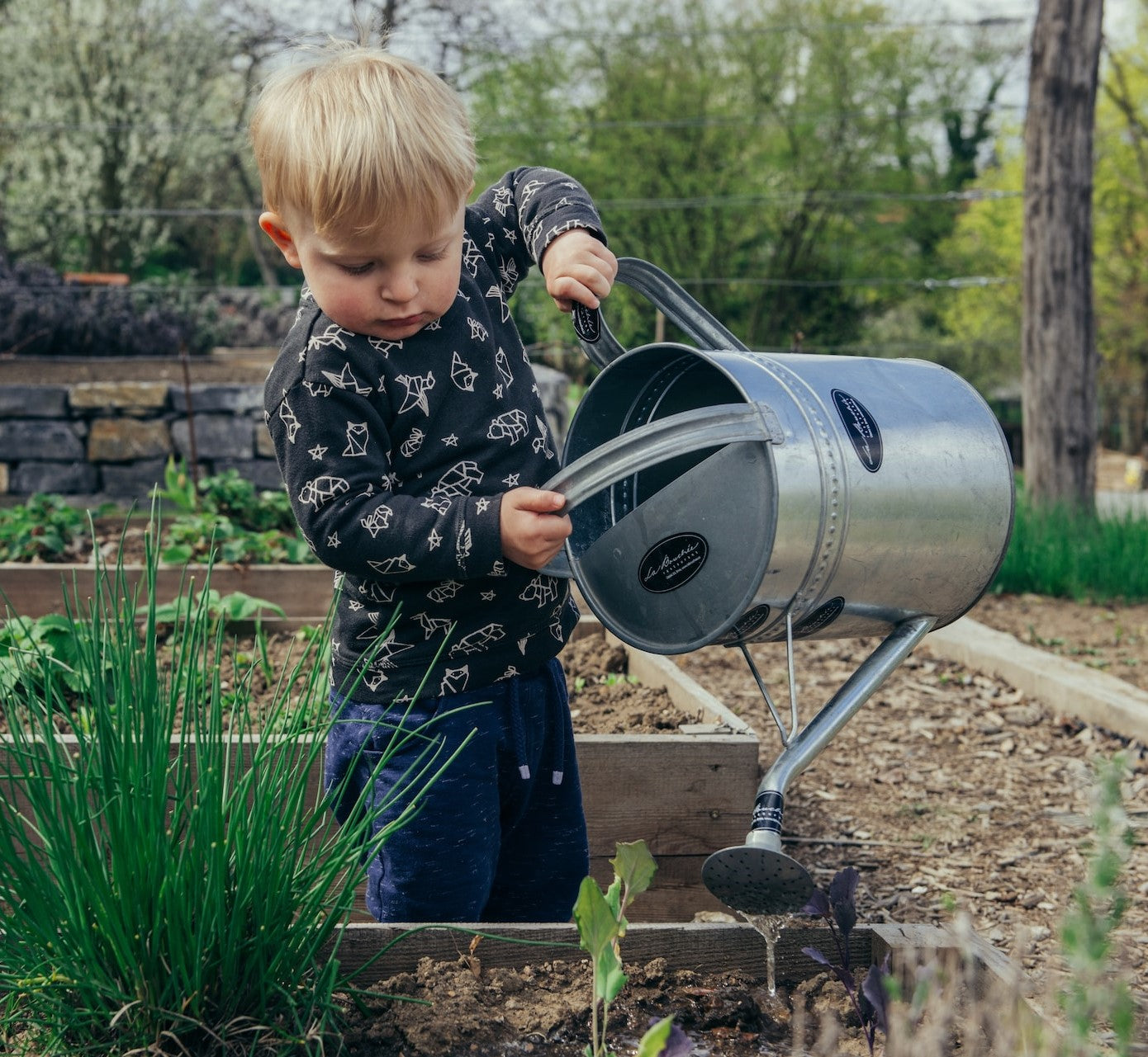 How Thirsty Are Your Plants?