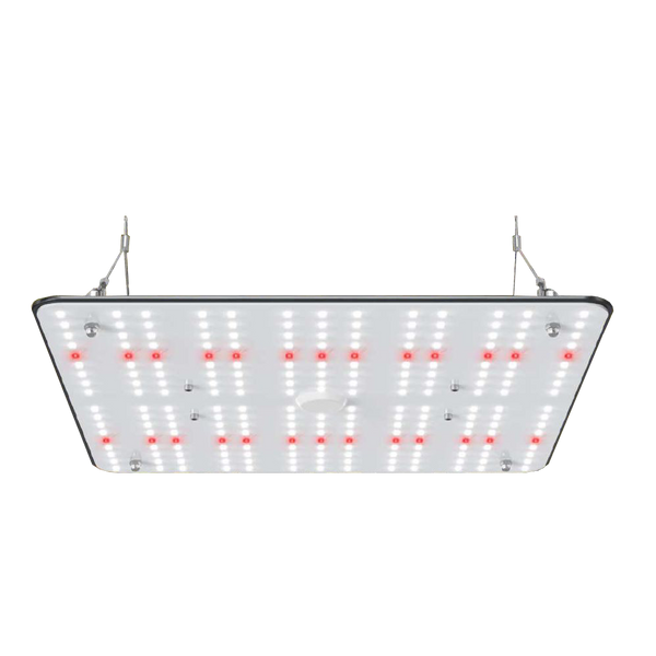 SunGrow-Quantum-250W_600x.png?